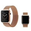 Band Colour Rose Gold