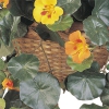 Thumbnail image 2 of 3.