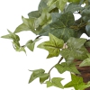 Thumbnail image 2 of 3.