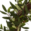 Thumbnail image 2 of 8.