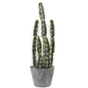 Thumbnail image 1 of 10.