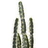 Thumbnail image 2 of 10.
