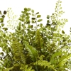 Thumbnail image 3 of 3.