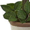 Thumbnail image 3 of 4.