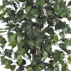 Thumbnail image 2 of 6.