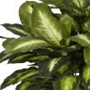 Thumbnail image 2 of 3.