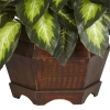 Thumbnail image 3 of 3.
