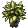 Thumbnail image 1 of 3.
