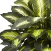 Thumbnail image 2 of 3.