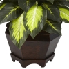 Thumbnail image 3 of 3.