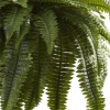 Thumbnail image 3 of 3.