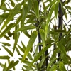 Thumbnail image 3 of 3.