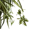 Thumbnail image 3 of 3.