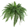 Thumbnail image 1 of 3.