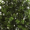 Thumbnail image 2 of 3.