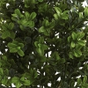Thumbnail image 2 of 3.