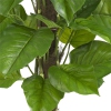 Thumbnail image 3 of 4.
