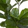 Thumbnail image 3 of 5.