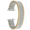 Band Colour Two-Tone / Silver Adapter