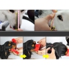 Thumbnail image 3 of 4.