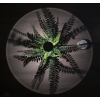 Thumbnail image 3 of 8.