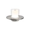Colour Nickel(Gesture Control)