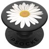 Couleur Marguerite blanche