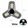 Thumbnail image 3 of 10.