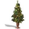 Thumbnail image 1 of 10.