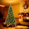 Thumbnail image 2 of 10.