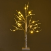 Thumbnail image 1 of 10.