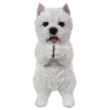 Thumbnail image 1 of 6.