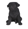 Thumbnail image 1 of 5.