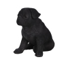Thumbnail image 3 of 5.