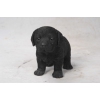 Thumbnail image 1 of 5.