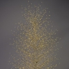 Thumbnail image 1 of 9.