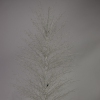 Thumbnail image 2 of 9.