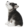 Thumbnail image 1 of 8.