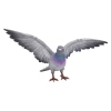 Thumbnail image 1 of 6.