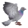 Thumbnail image 2 of 6.