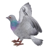 Thumbnail image 3 of 6.