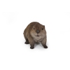 Thumbnail image 1 of 6.