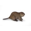 Thumbnail image 2 of 6.