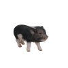 Image miniature 3 de 4.