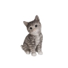 Thumbnail image 1 of 7.