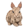 Thumbnail image 1 of 7.