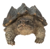 Thumbnail image 1 of 7.