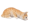 Thumbnail image 1 of 6.