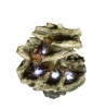 Image miniature 3 de 7.