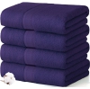 Colour Plum